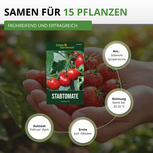 Deine Gartenwelt Logo. Samen für 15 Stabtomaten Harzfeuer F1. Aussaat Februar bis April, Ernte Juni bis Oktober. Keimung bei 20 bis 25 Grad.