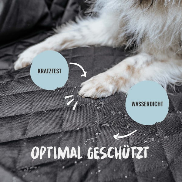 Kratzfeste und wasserdichte Schutzdecke mit Hundepfoten