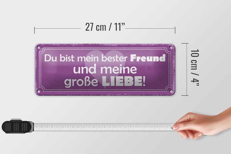 Blechschild Spruch 27x10cm bester Freund und große Liebe Dekoration