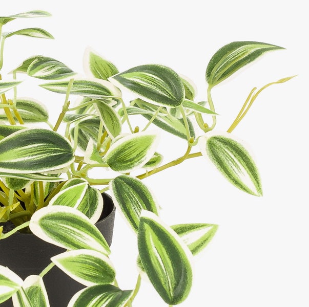 Künstliche Zimmerpflanze mit grün-weiß gestreiften Blättern in einem schwarzen Kunststofftopf.