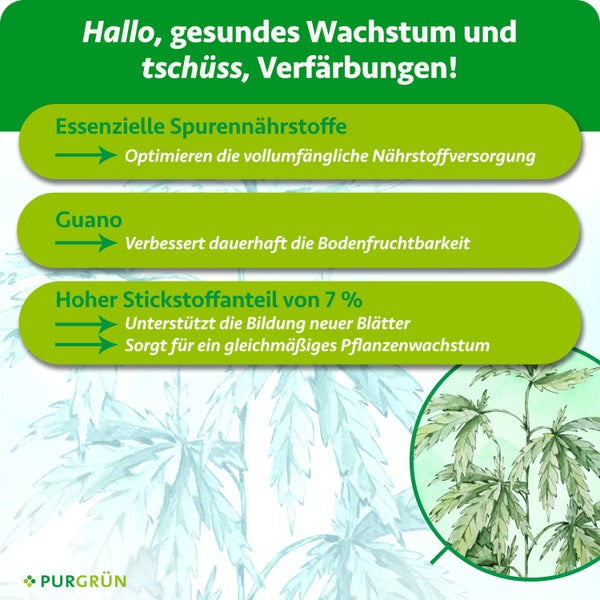 Infografik zu Purgrün Dünger: Spurennährstoffe, Guano für Bodenfruchtbarkeit und 7 Prozent Stickstoff für Blattbildung und Wachstum. Purgrün Logo.