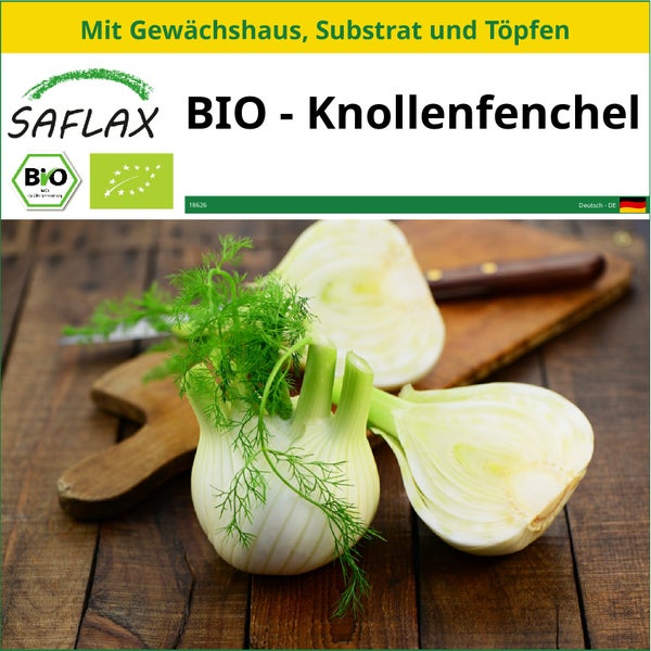 SAFLAX Anzucht Set - BIO - Knollenfenchel - Foeniculum vulgare var. azoricum - 100 Samen - Mit Mini-Gewächshaus, Anzuchtsubstrat und 2 Töpfen