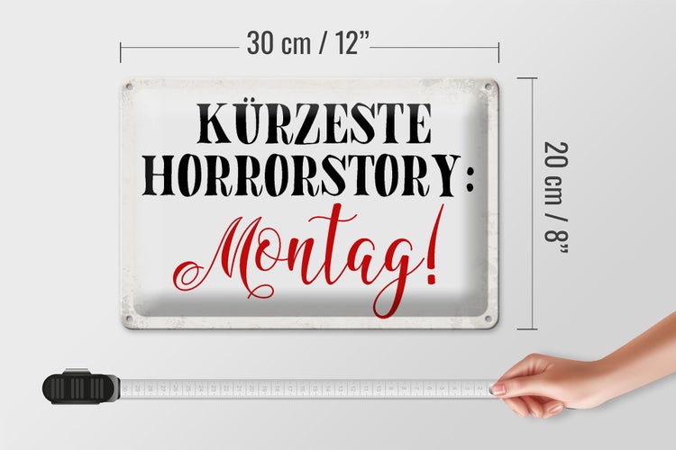 Blechschild Spruch 30x20cm kürzeste Horrorstory Montag