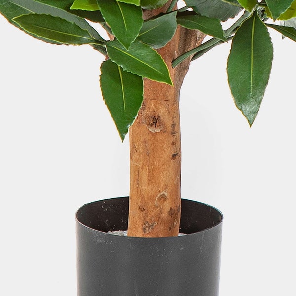 Künstliche Alocasia Pflanze im schwarzen Kunststofftopf mit großen grünen herzförmigen Blättern.
