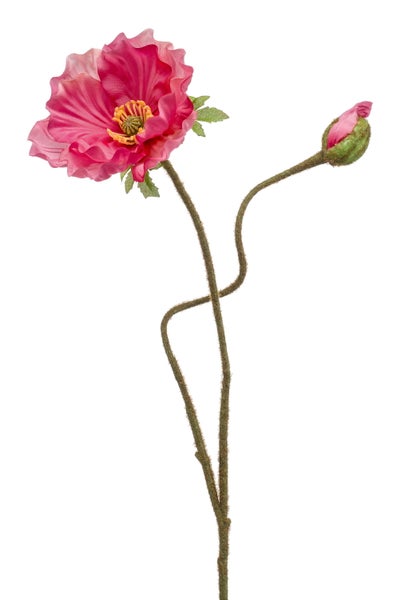 Moosbedeckter Y-förmiger Dekozweig zur Pflanzenstütze oder für florale Gestecke.