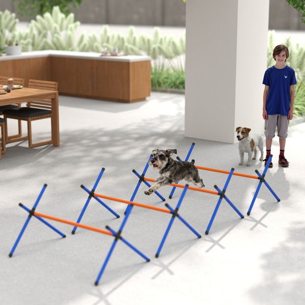 Hund springt über blau-orangefarbenes Agility-Hürden-Set auf Terrasse, im Hintergrund ein Junge, ein weiterer Hund und Gartenmöbel.