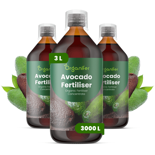 Organifer Avocado-Dünger, organisches Konzentrat, Set mit drei Flaschen für insgesamt 3 Liter, ausreichend für 3000 Liter Gießwasser.