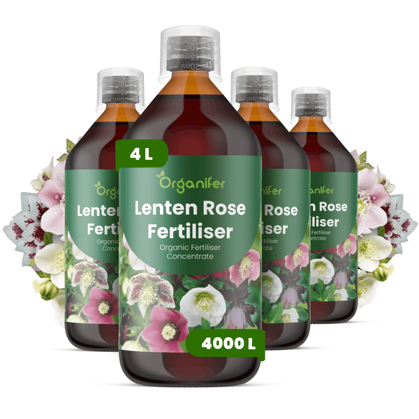 Vier Flaschen Organifer Lenzrosen Bio Flüssigdünger Konzentrat, 4 Liter, für bis zu 4000 Liter Dünger.