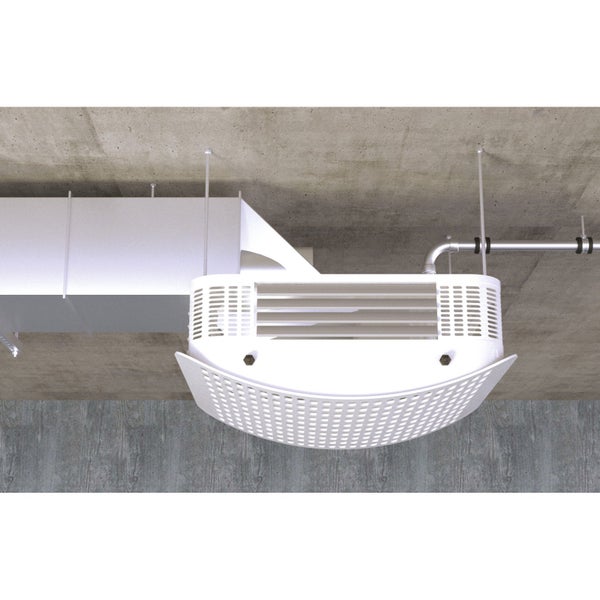 Drei Olivenbäume in grauen Pflanzgefäßen.