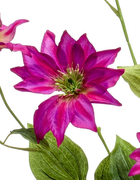 Künstliche Clematis-Blüte mit pinken Blütenblättern und grünen Blättern