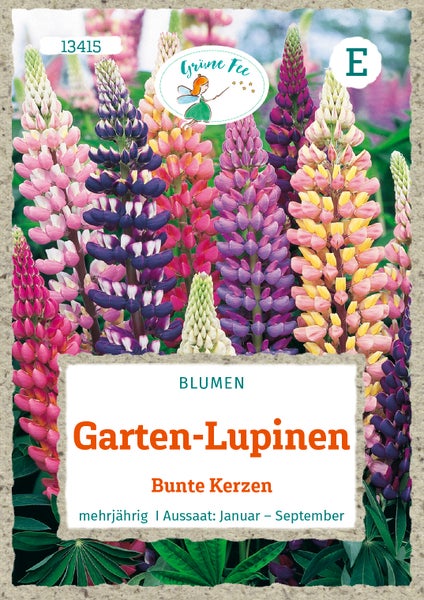 Samentüte für Garten-Lupinen Bunte Kerzen, Grüne Fee Logo, mehrjährig, Aussaat von Januar bis September.