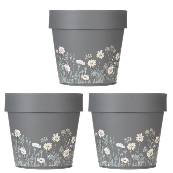 Dreier-Set runde Blumenübertöpfe mit Gänseblümchen-Motiv.