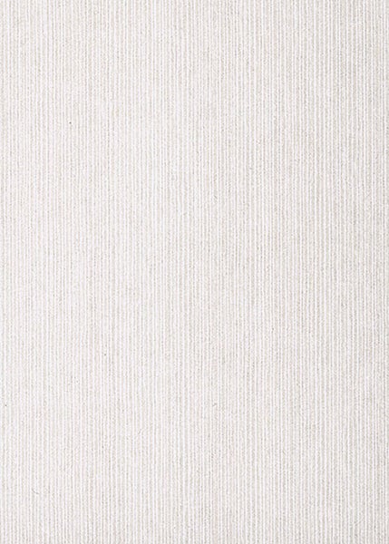 Rollgerüst mit zwei Arbeitsplattformen und Auslegern für den sicheren Stand