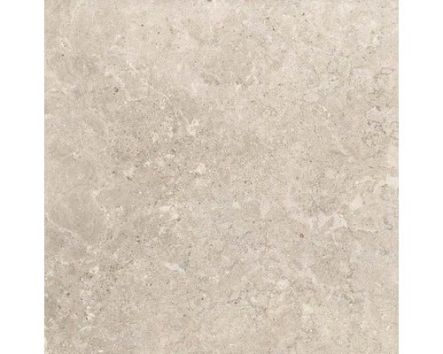 Wand- und Bodenfliese Jurassic beige 60x60 cm