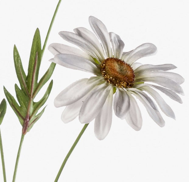Künstliche Margerite mit weißen Blüten mit brauner Mitte, grünen Blättern und verzweigtem Stiel.