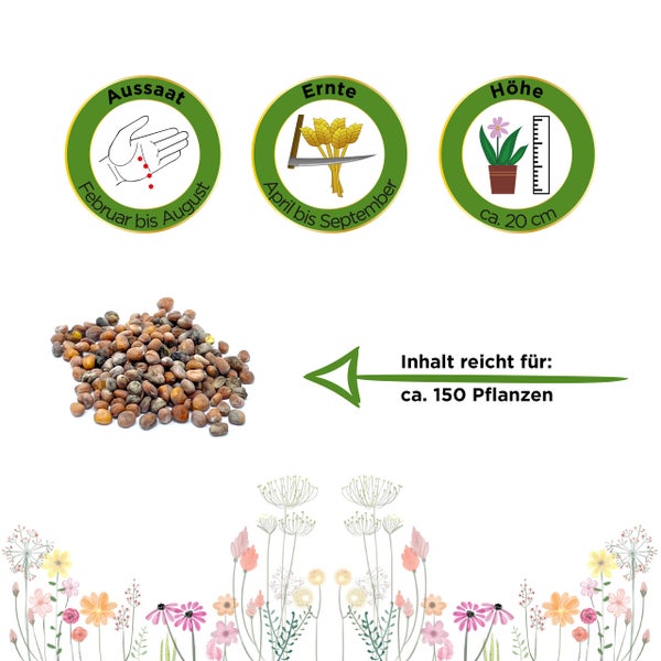 Planzensamen: Aussaat Februar bis August, Ernte April bis September, Wuchshöhe circa 20 Zentimeter, Inhalt für circa 150 Pflanzen.