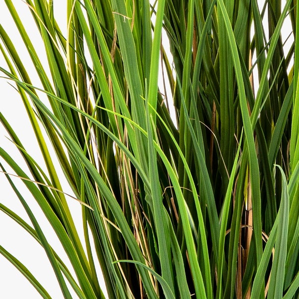 Nahaufnahme von grünen Kunstgras-Halmen.