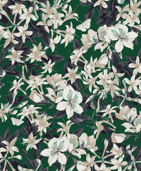 Einfarbiger Hintergrund