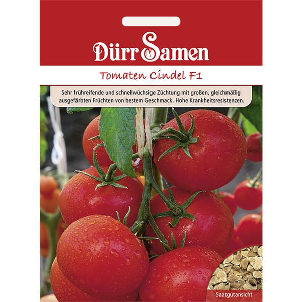 Tomaten Cindel F1 Saatgut von Dürr Samen