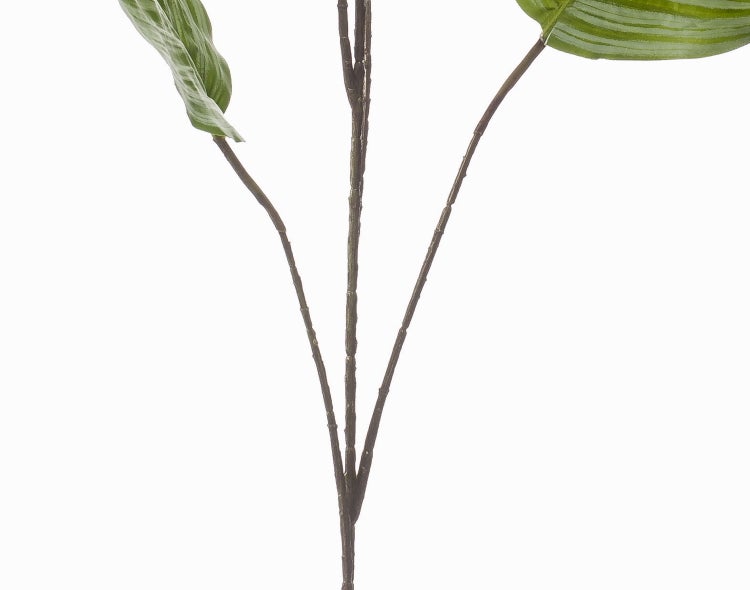 Künstliche Pflanze mit weiß-grün gemusterten, gezackten Blättern.