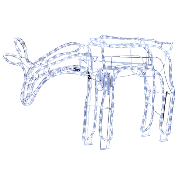 Illustration eines Lamas auf Leinwand