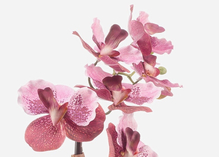 Künstliche Orchidee mit rosa Blüten, Knospen und grünen Blättern.