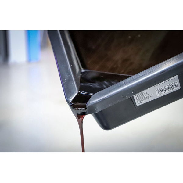 Herbstaster mit lila Blüten