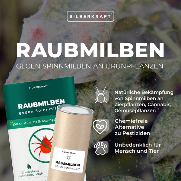 Raubmilben gegen Spinnmilben an Grünpflanzen 1 Packung