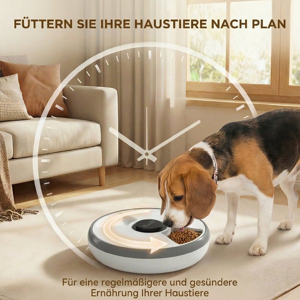 Hund frisst aus einem Futterautomaten in einem hellen Wohnzimmer mit einer Uhrengrafik für zeitgesteuerte Fütterung.