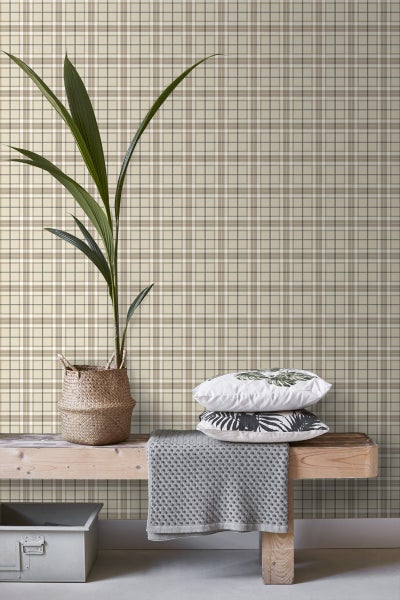 Szene mit einer gemusterten Tapete, einer Zimmerpflanze, Kissen und einer Bank