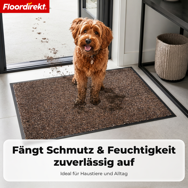 Ein brauner Hund steht auf einer Schmutzfangmatte im hellen Eingangsbereich, die Schmutz und Feuchtigkeit von Pfoten aufnimmt. Floordirekt Logo.