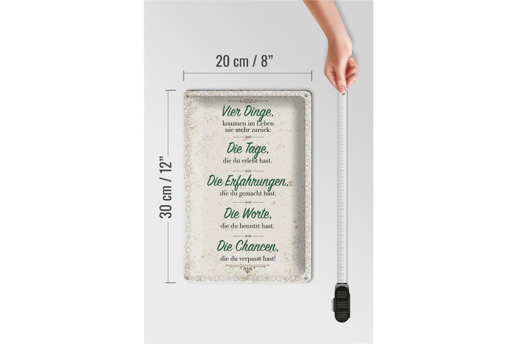Blechschild Spruch Vier Dinge kommen nie zurück 20x30cm