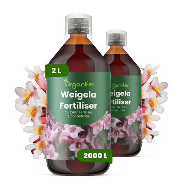 Organifer Weigela Dünger, organisches Düngerkonzentrat in der 2 Liter Flasche, ausreichend für 2000 Liter Gießwasser.