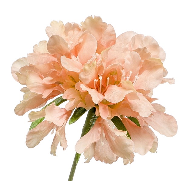 Künstlicher Blumenstiel mit Blütenknospen und spitzen grünen Blättern.