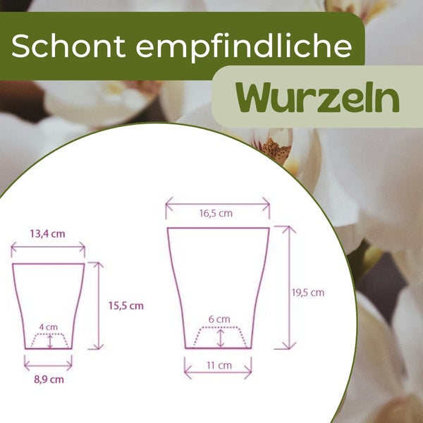 Abmessungen von Blumentöpfen für empfindliche Wurzeln