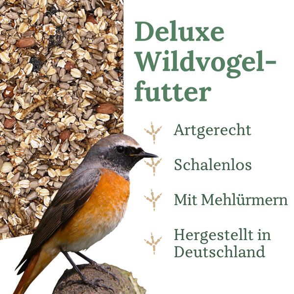 Wildvogelfutter in einem Futterspender, ganzjährig geeignet für Garten und Balkon zur Fütterung von Wildvögeln.