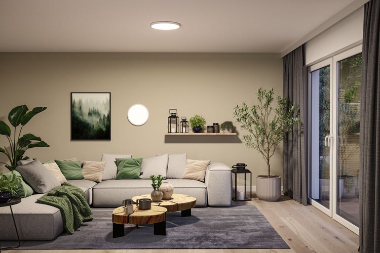 Modern eingerichtetes Wohnzimmer mit grauem Ecksofa, runden Couchtischen aus Baumscheiben, Zimmerpflanzen und runden Leuchten an Decke und Wand.