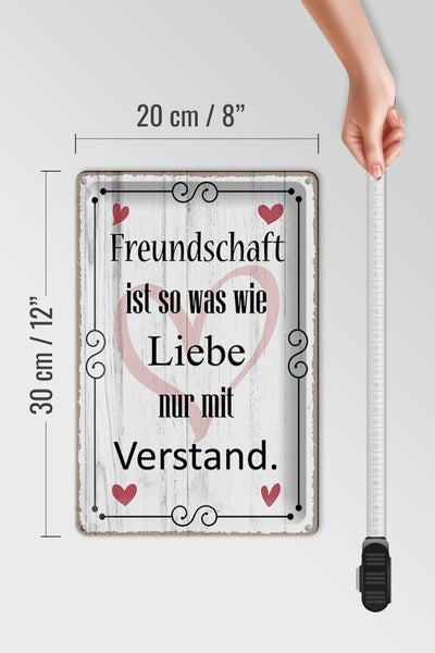 Blechschild Spruch 20x30cm Freundschaft ist so wie Liebe