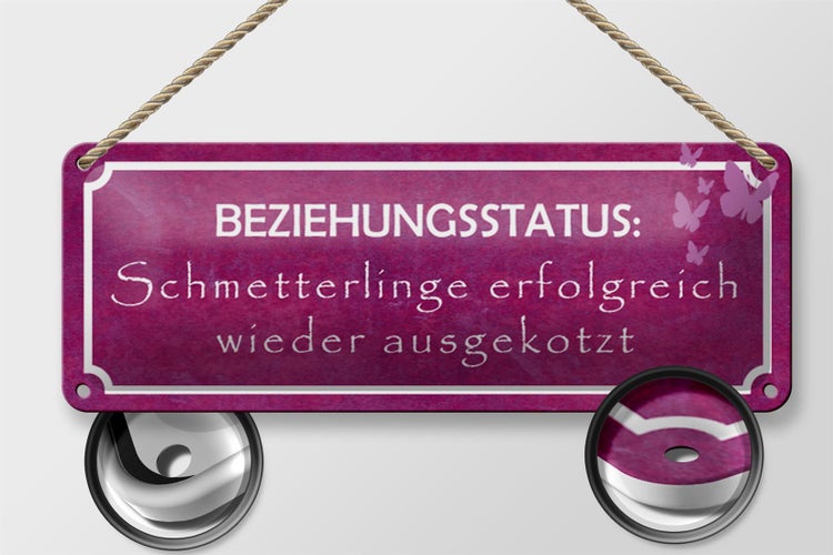Blechschild Spruch 27x10cm Beziehungsstatus Schmetterlinge Dekoration