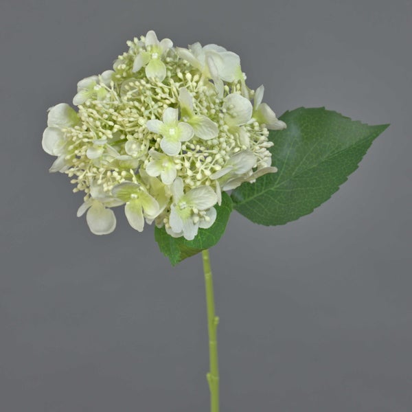 Künstliche Hortensie mit weißer Blüte, grünem Blatt und Stiel.