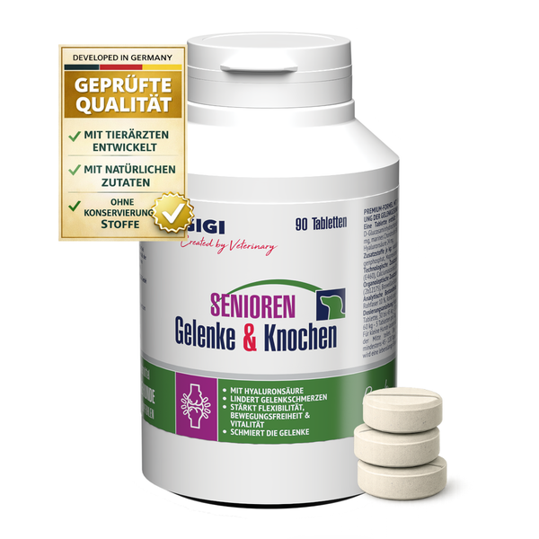 GIGI Senioren Gelenke und Knochen Tabletten für Hunde, 90 Stück, geprüfte Qualität, natürliche Zutaten, entwickelt mit Tierärzten.