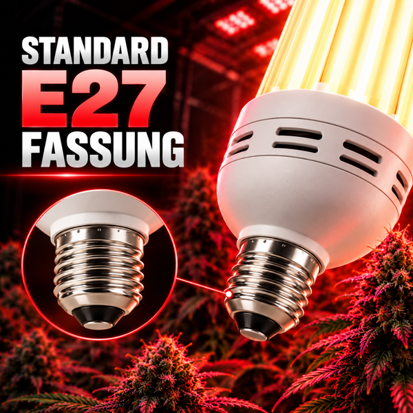LED Pflanzenlampe mit Standard E27 Fassung für optimales Wachstum in der Innenraumbepflanzung.