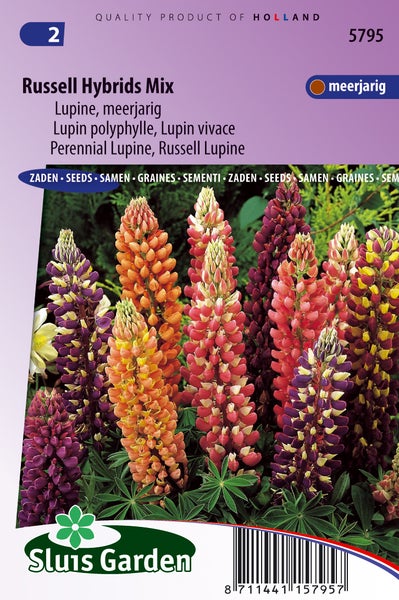 Russell Hybrids Mix Lupinen-Samenpackung, mehrjährig