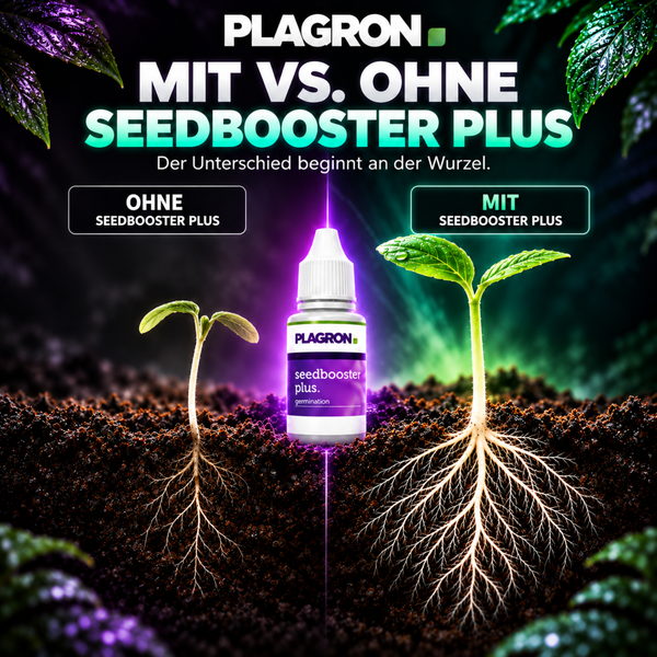 Vergleichsgrafik Plagron Seedbooster Plus mit zwei Pflanzensetzlingen, einer mit schwachem und einer mit stark entwickeltem Wurzelsystem in Erde.