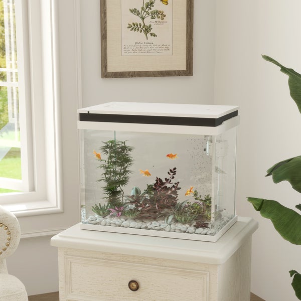 PawHut Aquarium, 41 Liter Glas-Aquarium mit Filtersystem, LED-Lichtern, Wasserpumpe, Kompaktes Aquarium für verschiedene Fischarten, Weiß