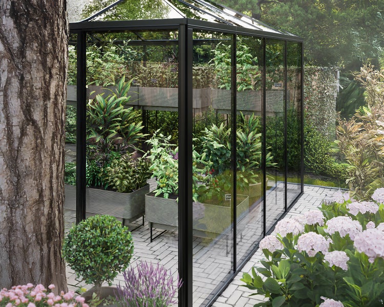 Modernes Gewächshaus mit schwarzem Rahmen und Glaswänden, gefüllt mit Pflanzen in Hochbeeten in einem hellen Garten.