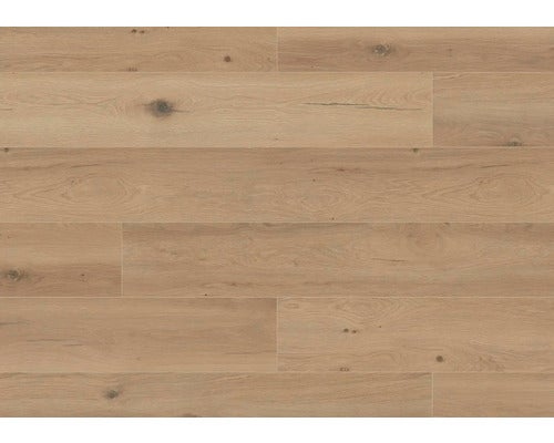 Landhausdiele Parkett oder Laminat mit natürlicher Holzmaserung und Ästen.