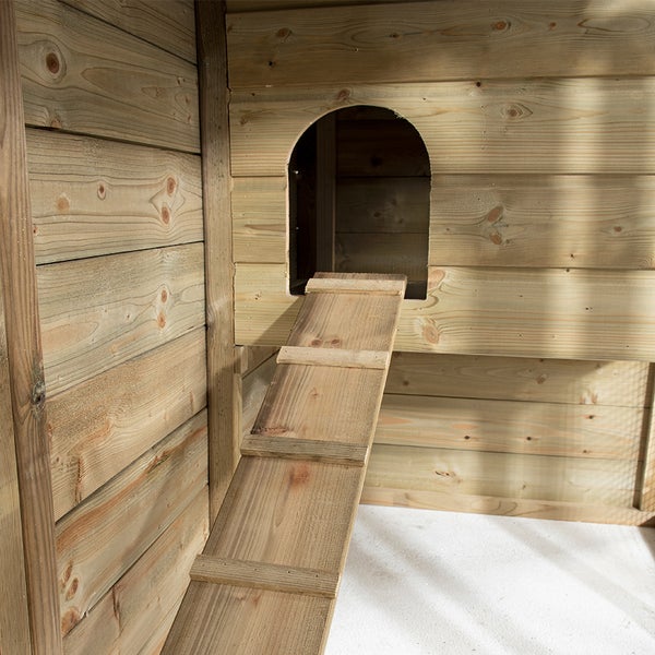 Detailansicht eines Hühnerstalls mit Leiter zum Eingang