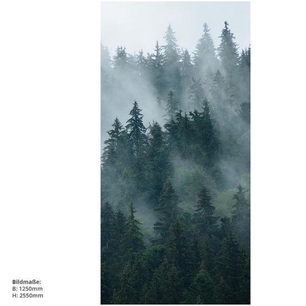 Nadelwald im Nebel