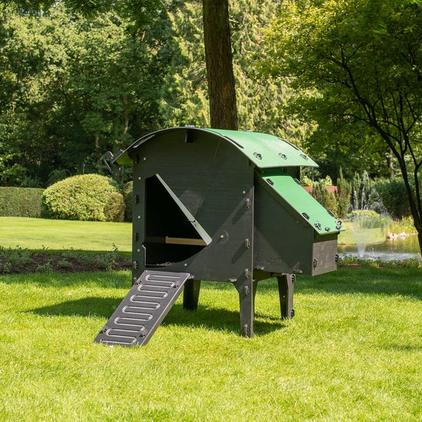 Hühnerstall aus recyceltem Kunststoff mit grünem Dach und Rampe auf einer Rasenfläche in einem Garten mit Bäumen und Teich.